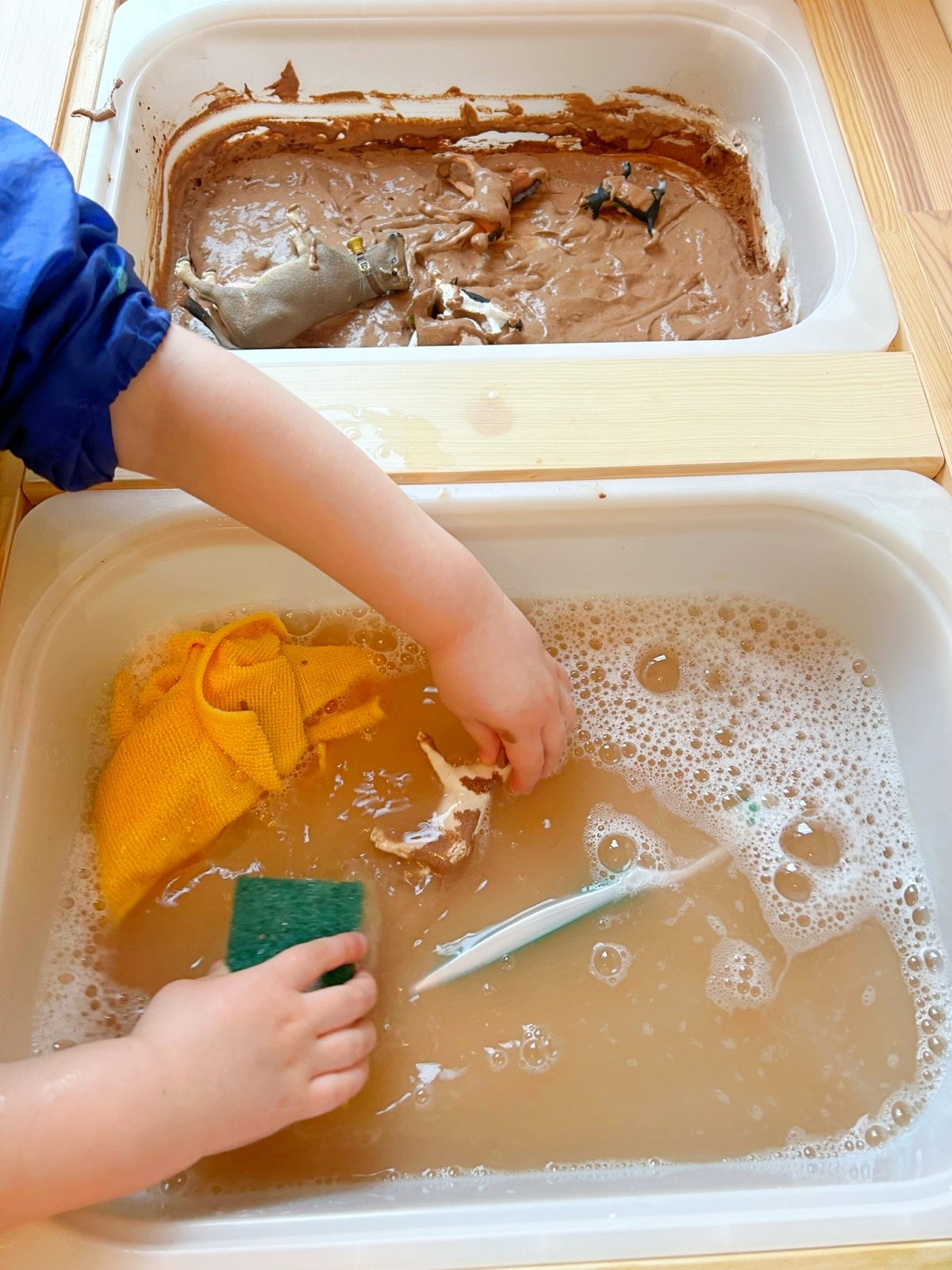 explore farm animals in this spring activity for kids