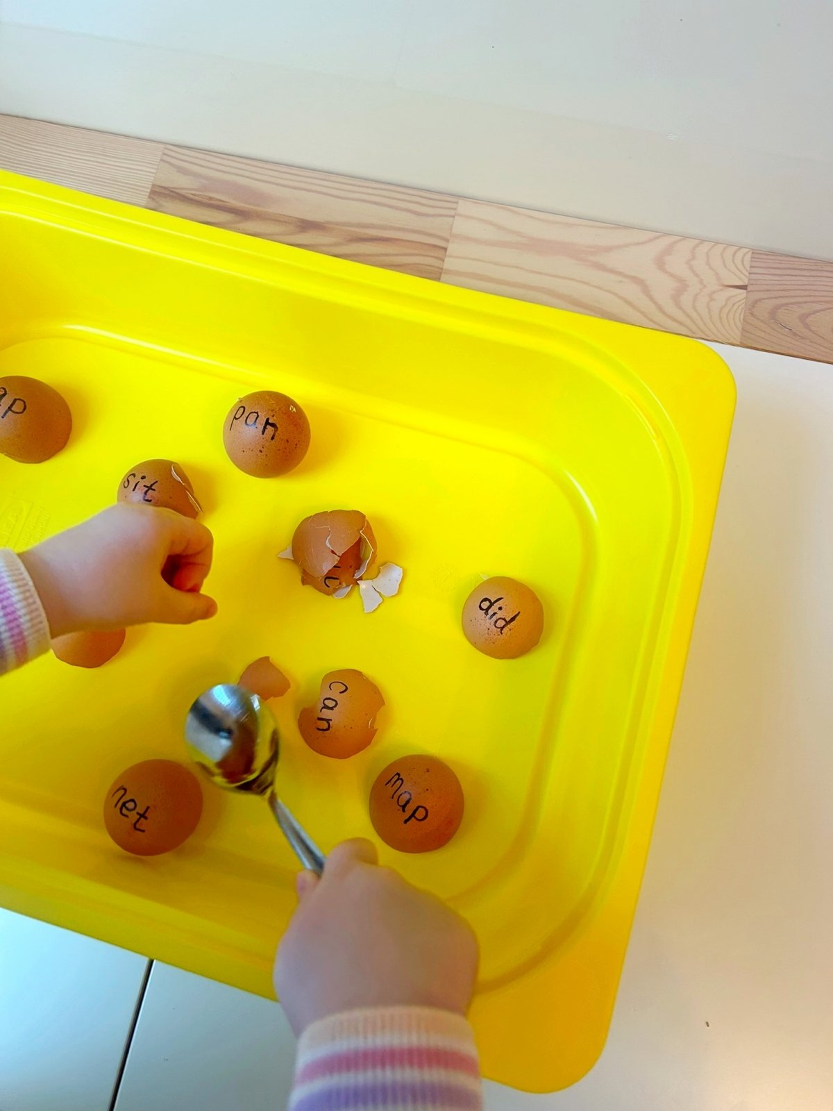 fun spring activity - smash eggshells with the back of a spoon when the word written is correctly identified