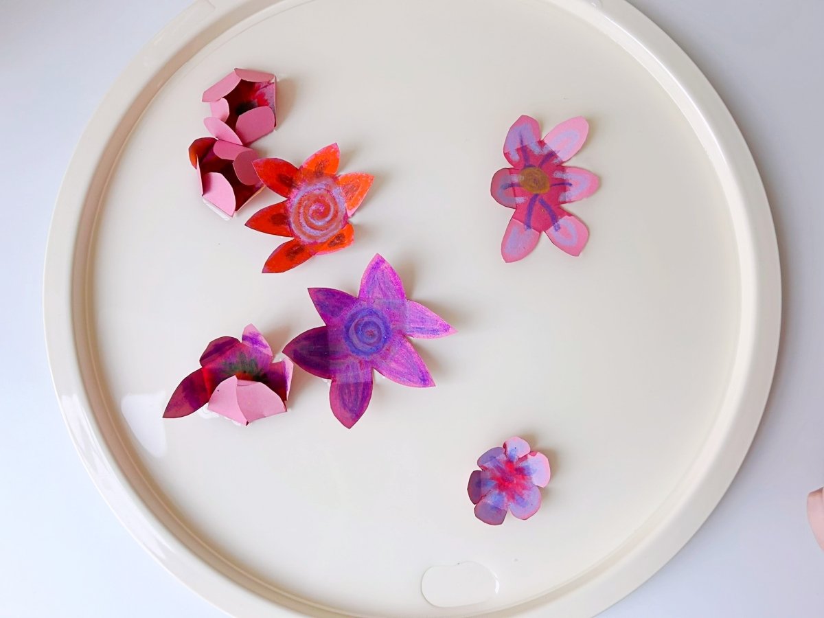 folded flowers floating on water will slowly open up
